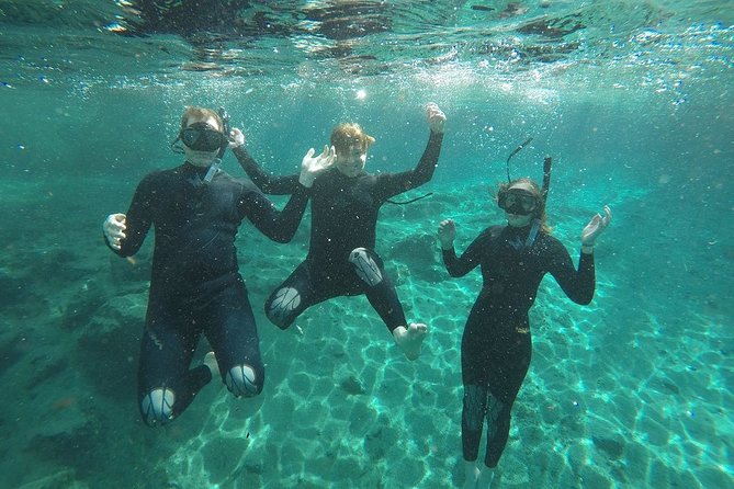 Guided Small Group Manatee Snorkeling Tour with In-Water Photographer - Why Crystal River is the right place for this outing