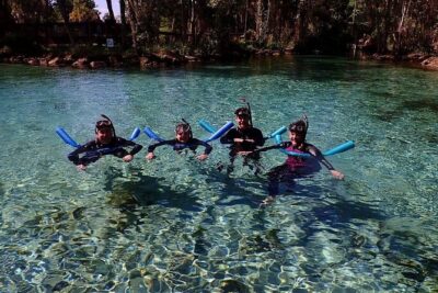 Guided Small Group Manatee Snorkeling Tour with In-Water Photographer