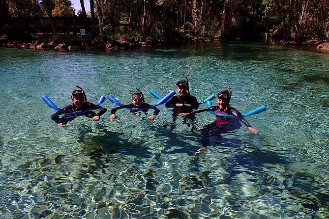 Guided Small Group Manatee Snorkeling Tour with In-Water Photographer - Checking in at 226 NE 5th Street