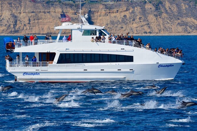 Guided Whale Watching Tour from Long Beach - Timing, weather, and the best way to prepare