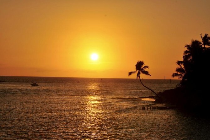 Gulf of Mexico Sunset Cruise from Naples - Key points to know before you book