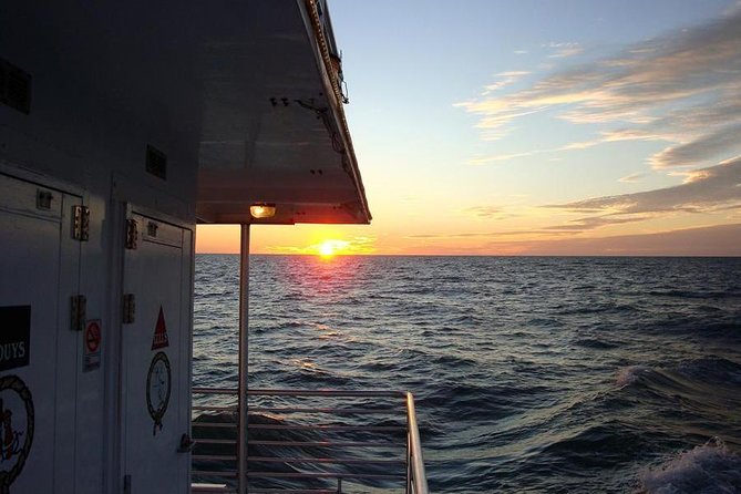 Gulf of Mexico Sunset Cruise from Naples - Dolphins, birds, and the limits of wildlife watching