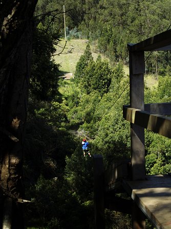 Haleakala 6 Line Zipline Adventure - Who will enjoy this most