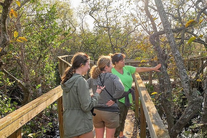 Half-day Everglades National Park Tour and 1-Hour Air Boat Ride - The Tamiami Trail scenic drive