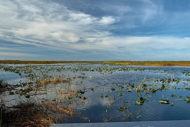 Half-day Everglades National Park Tour and 1-Hour Air Boat Ride - How the timing and small group affect the value