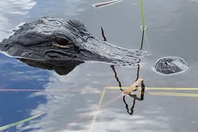Half-day Everglades National Park Tour and 1-Hour Air Boat Ride - Walking the national park near Shark Valley
