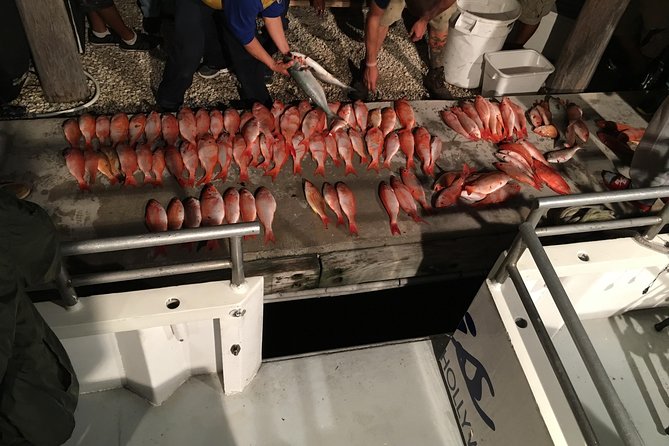 Half-Day Fishing Trip in Fort Lauderdale - A four-hour introduction to ocean fishing