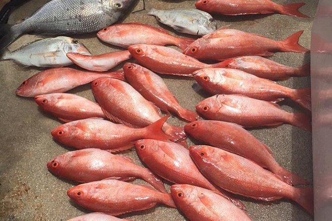 Half-Day Fishing Trip in Fort Lauderdale - Fishing spots, methods, and likely catches
