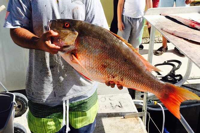 Half-Day Fishing Trip in Fort Lauderdale - What the $73 price really covers