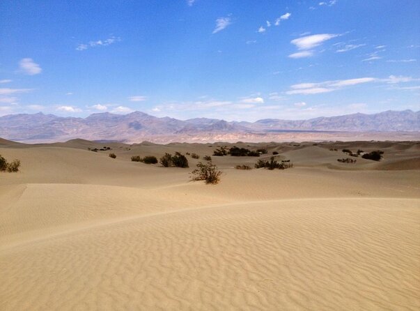 Half-Day Mojave Desert ATV Tour from Las Vegas - Leaving Las Vegas for the Mojave Desert