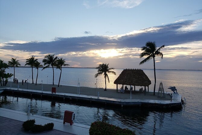Half Day Snorkel Trip on Reefs in the Florida Keys - John Pennekamp Coral Reef State Park and Christ of the Abyss