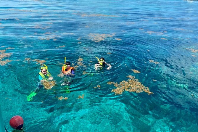 Half Day Snorkel Trip on Reefs in the Florida Keys - Boarding the catamaran in Key Largo