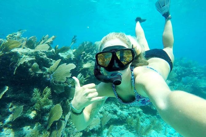 Half-Day Trip from Key West with Kayaking, Snorkeling & Sunset - Snacks, drinks, and the practical comfort factor