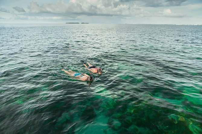 Half-Day Trip from Key West with Kayaking, Snorkeling & Sunset - Choosing the morning or afternoon departure