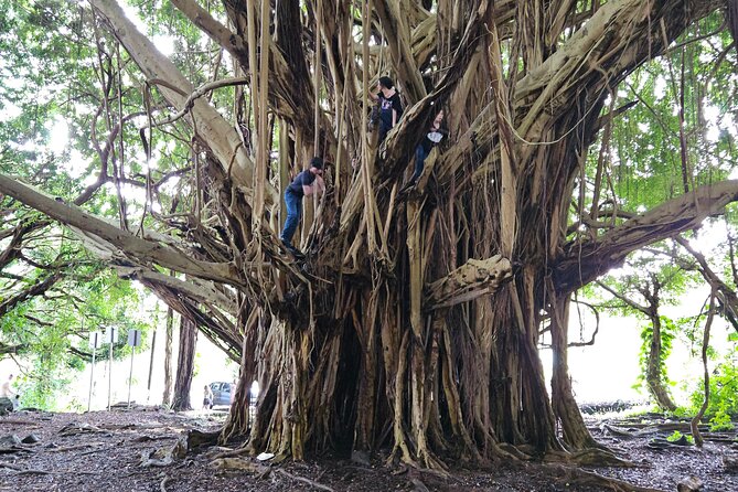Hawaii Volcanoes, Waterfalls, Beaches & Hilo Highlights Day Tour - Liliʻuokalani Gardens beside Hilo Bay