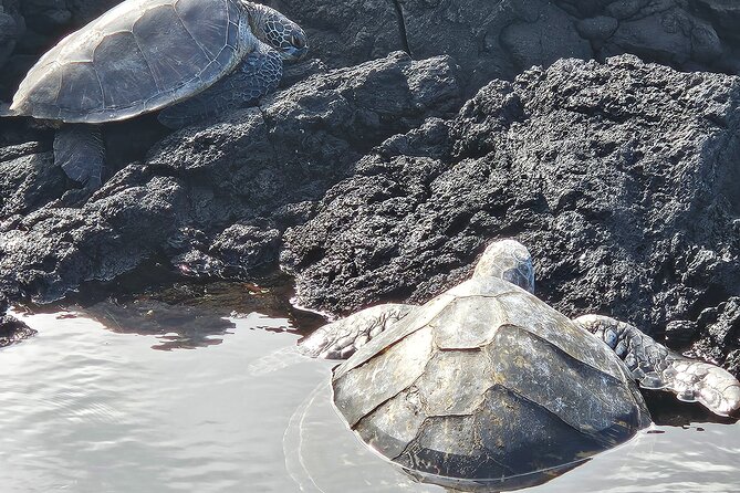 Hawaii Volcanoes, Waterfalls, Beaches & Hilo Highlights Day Tour - Big Island Candies for a sweet local pause