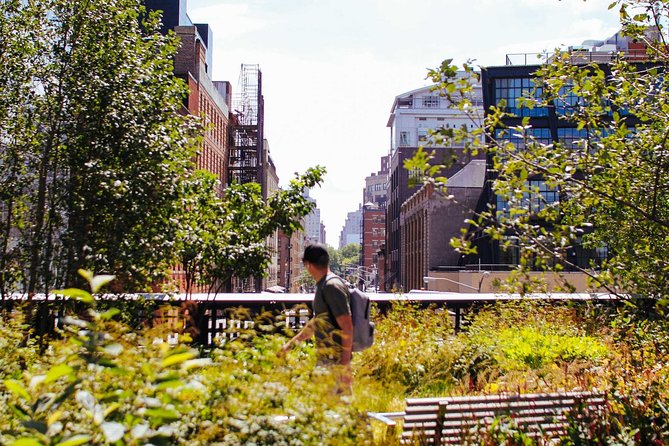 High Line and Chelsea Small Group Tour - Why this short walk works so well