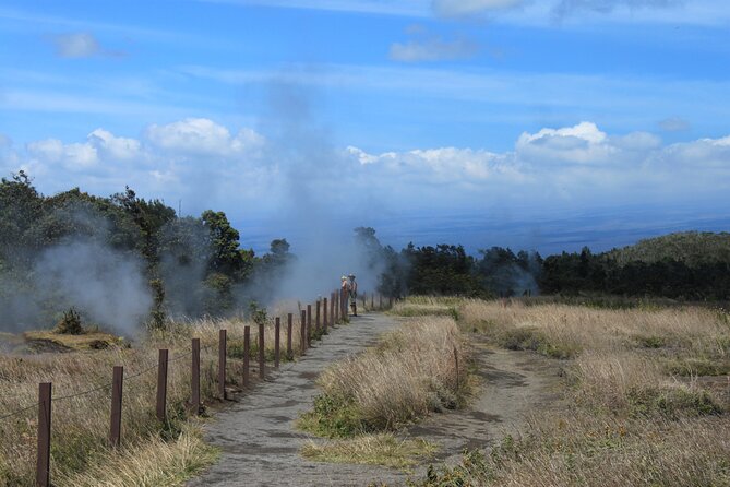 Hilo Shore Excursion: Active Volcano, Lava Tube, Waterfall and Gardens - Old lava fields on Chain of Craters Road