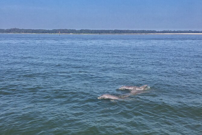 Hilton Head Island Dolphin Boat Cruise - Leaving Palmetto Bay Marina for Broad Creek