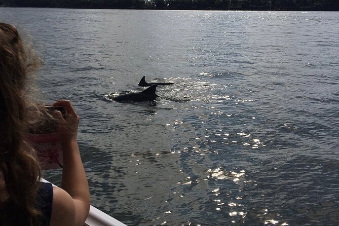 Hilton Head Island Dolphin Boat Cruise - Is $39.99 a fair price?