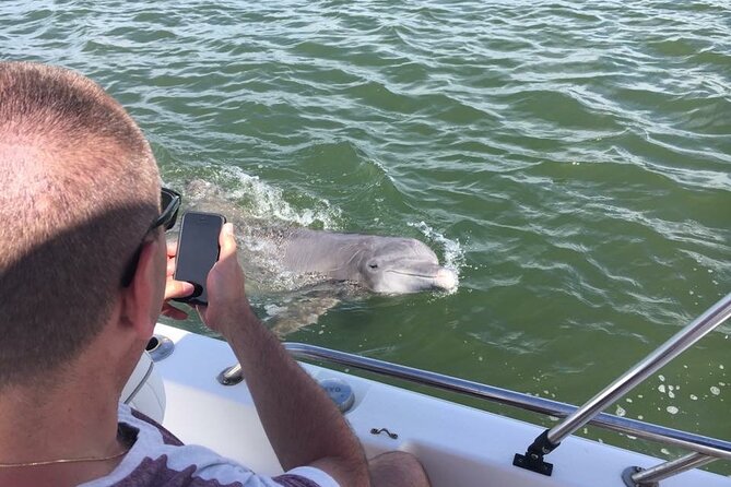 Hilton Head Island Dolphin Boat Cruise - What the crew adds to the outing