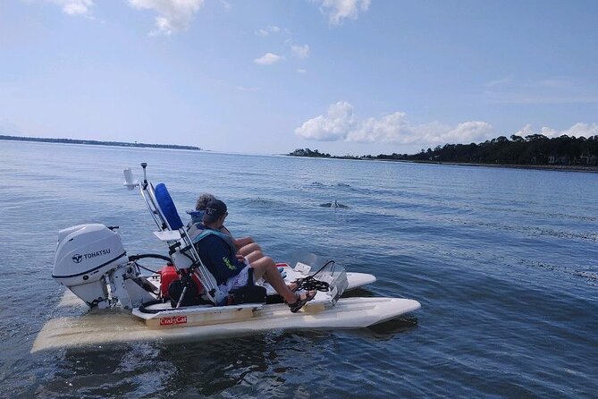 Hilton Head Island Guided Water Tour by Creek Cat Boat - A boat tour where you hold the throttle