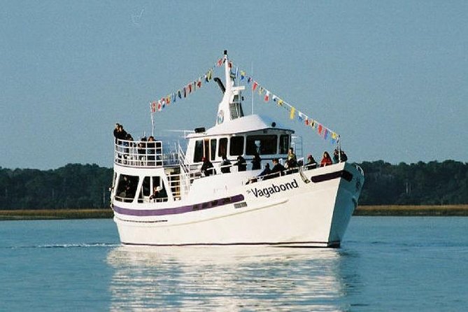 Hilton Head Island Ocean Dolphin Cruise - South Beach, Daufuskie Island, and Bull Island