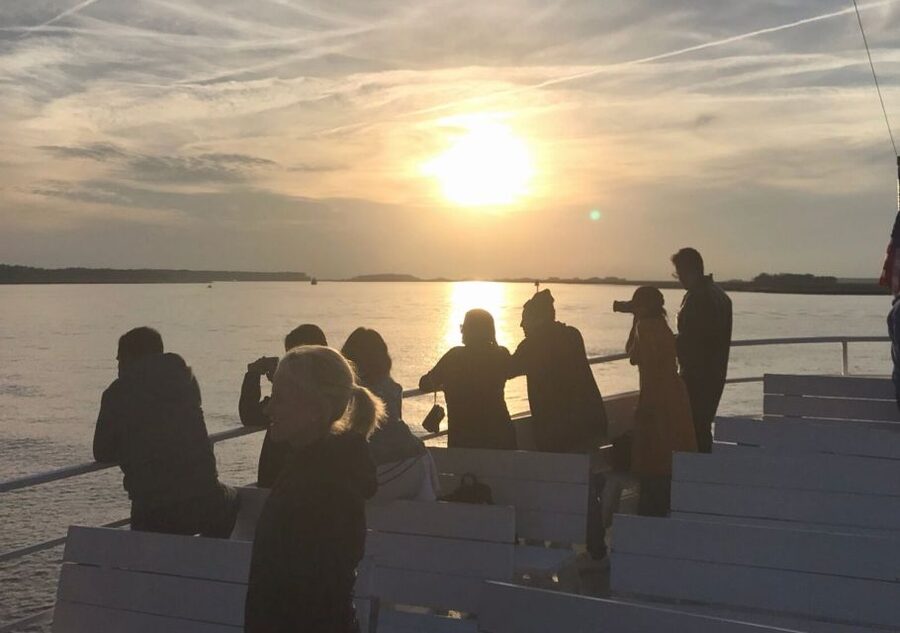 Hilton Head Island: Sunset Dolphin Cruise - Key points to know before you book