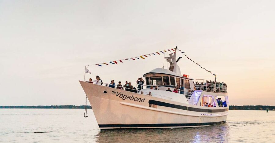Hilton Head Island: Sunset Dolphin Cruise - Dolphins first, sunset second