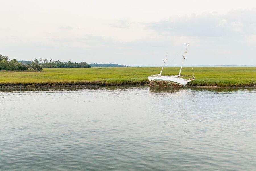 Hilton Head Island: Sunset Dolphin Cruise - Is the $50 price fair?