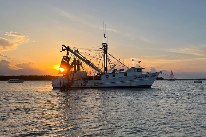 Hilton Head Shrimp Trawling Boat Cruise - Wildlife Sightings Are a Welcome Bonus