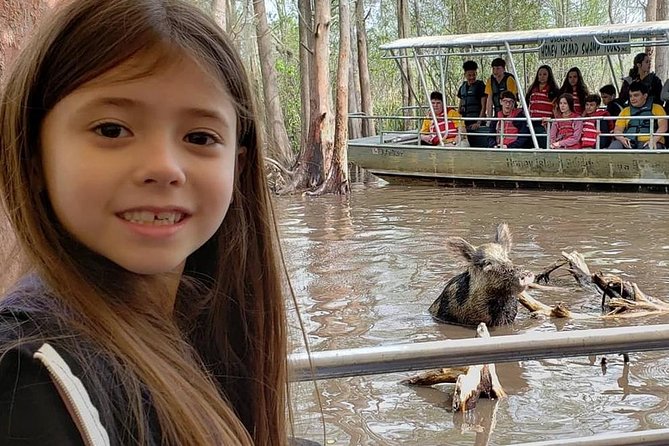 Honey Island Swamp Boat Tour - Weather, seasons, and the chance of seeing animals