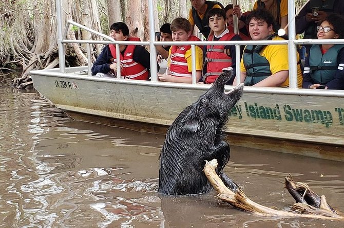 Honey Island Swamp Boat Tour - Is $34 a good value?