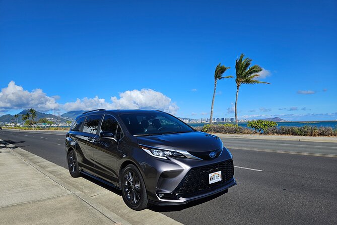 Honolulu Airport, Cruise Port and Hotels Private Transfer - Airport arrival: the 60-minute waiting window