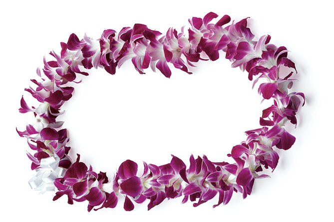 Honolulu Airport: Waikiki Private Transfer With Lei Greeting - From baggage claim to Waikiki in a private vehicle