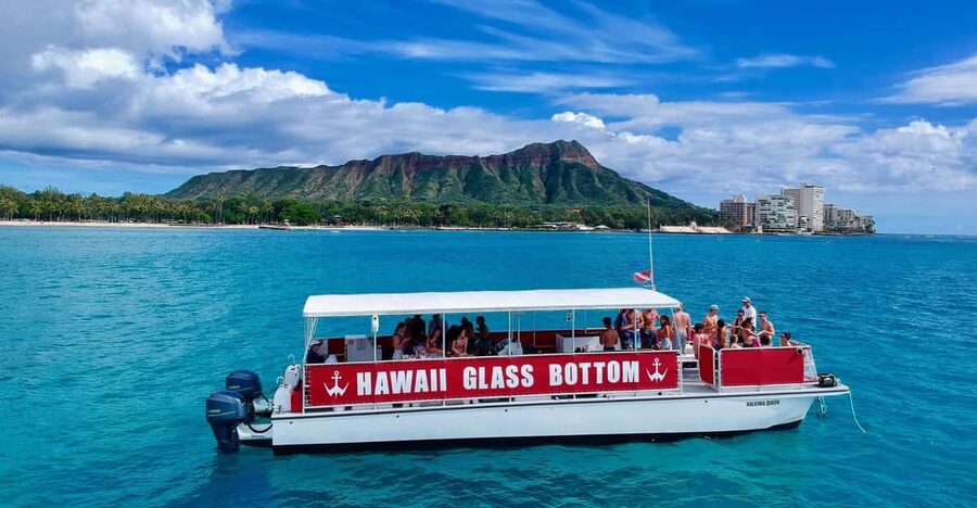 Honolulu: Glass Bottom Boat Tour along Oahu's South Shore - Turtles, Dolphins, and the Search for Wildlife