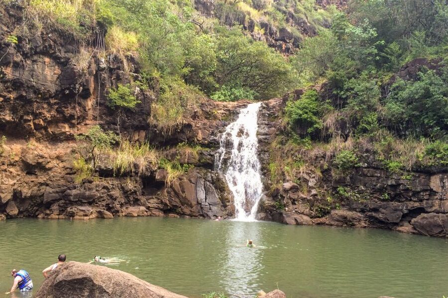 Honolulu: Oahu Island Full-Day Guided Tour by Bus with Lunch - The North Shore brings surf culture into view