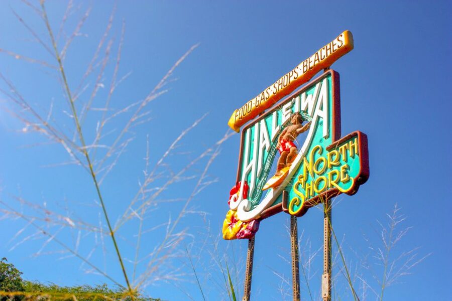 Honolulu: Oahu Island Full-Day Guided Tour by Bus with Lunch - Waimea Valley is the tour’s highlight