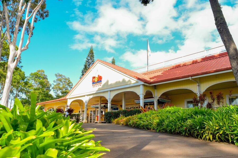 Honolulu: Oahu Island Full-Day Guided Tour by Bus with Lunch - Lunch keeps the day moving