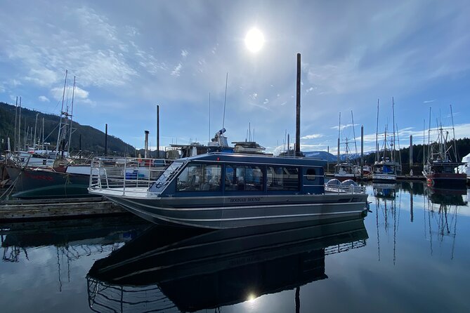 Hoonah Whale-Watching Cruise - Near Icy Strait Point - From Icy Strait Point to Hoonah’s harbor