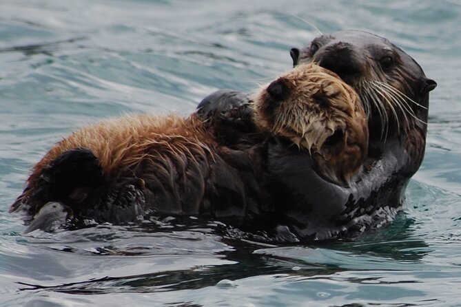 Hoonah Whale-Watching Cruise - Near Icy Strait Point - Is $225 a fair price?