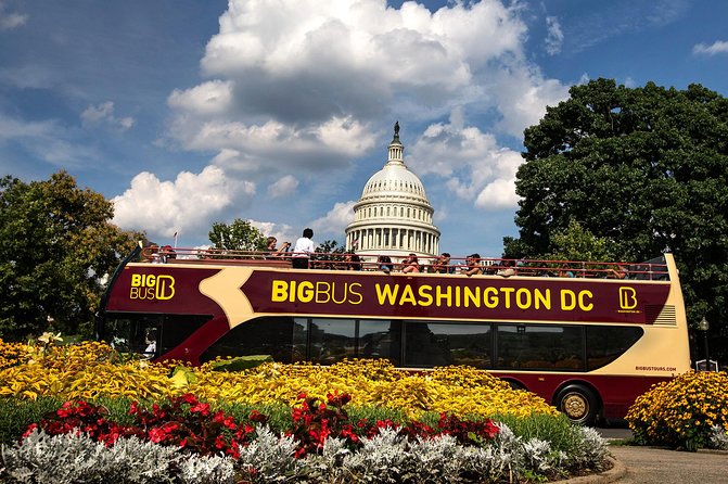 Hop-on Hop-off Sightseeing Tour by Open-top Bus with 18 Stops - Why this bus works well in Washington DC