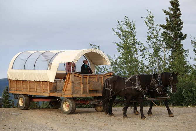 Horse-Drawn Covered Wagon Ride with Backcountry Dining - The backcountry pavilion and the family meal