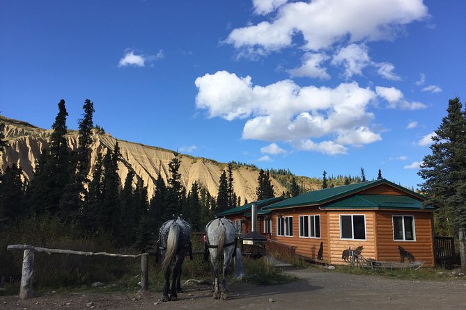 Horse-Drawn Covered Wagon Ride with Backcountry Dining - The return route beside cabins and Denali