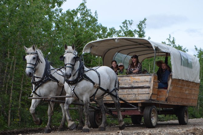Horse-Drawn Covered Wagon Ride with Backcountry Dining - Weather, clothing, and practical comfort