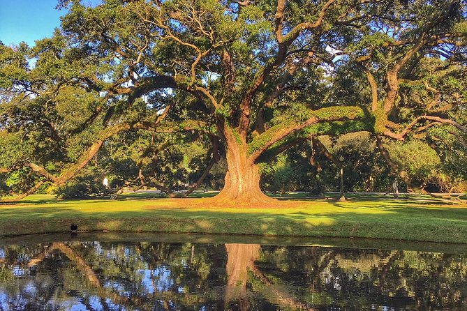 Houmas House Estate and Gardens Guided Tour - Reaching Houmas House From New Orleans