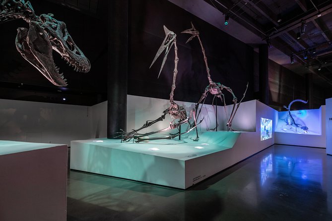 Houston Museum of Natural Science General Admission - A museum visit built around your own pace