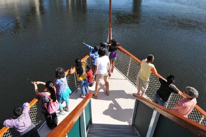 Hudson River Sightseeing Cruise from Albany - Watching for bald eagles and other river wildlife