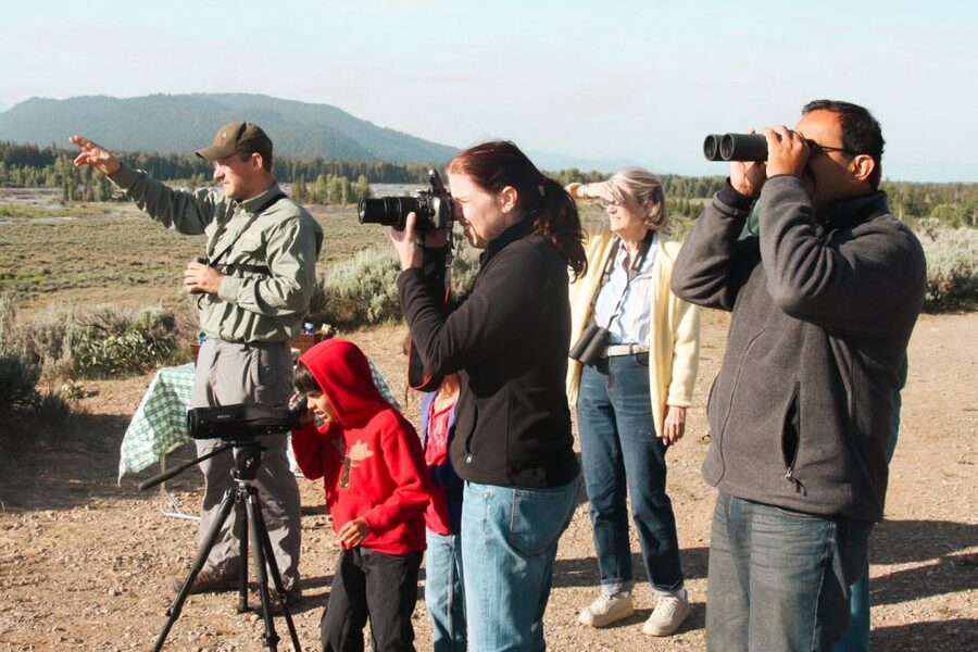 Jackson: Grand Teton National Park Guided Wildlife Tour - Who Will Get the Most from This Tour