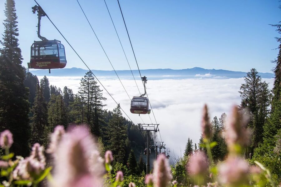Jackson Hole: Aerial Tram and Gondolas Sightseeing - Corbet’s Cabin and the famous waffles